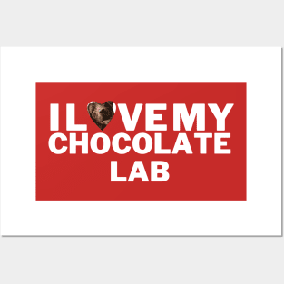 I love my chocolate labrador retriever Posters and Art